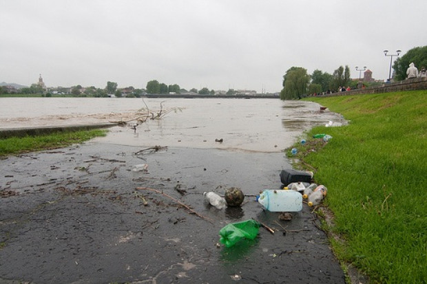 Wilków: nie ma zatruć na terenach popowodziowych