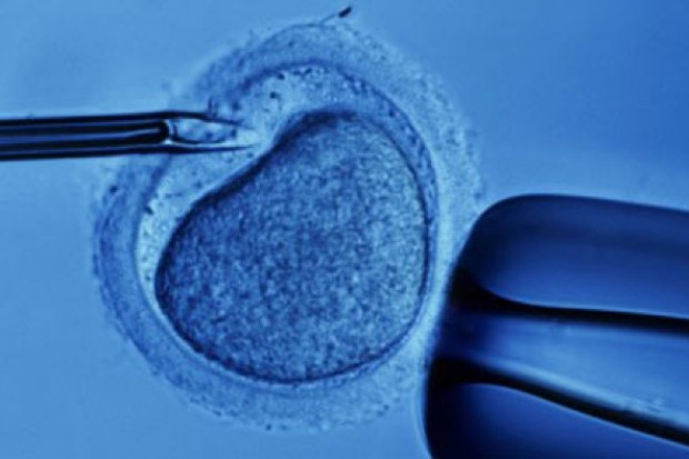 CBOS: spada poparcie zapłodnienia in vitro