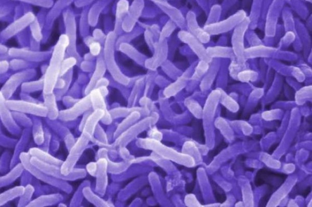 Nigeria: rośnie zagrożenie epidemią cholery