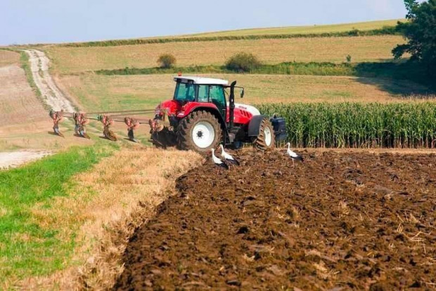 KRUS: więcej niż 15 ha = składka zdrowotna w wysokości 36 zł