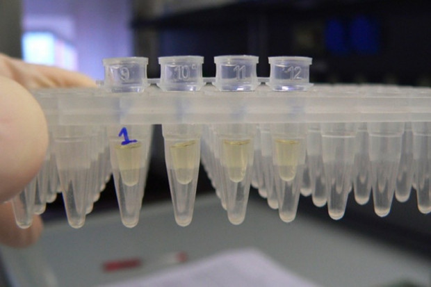MZ ws. Dobrej Praktyki Laboratoryjnej