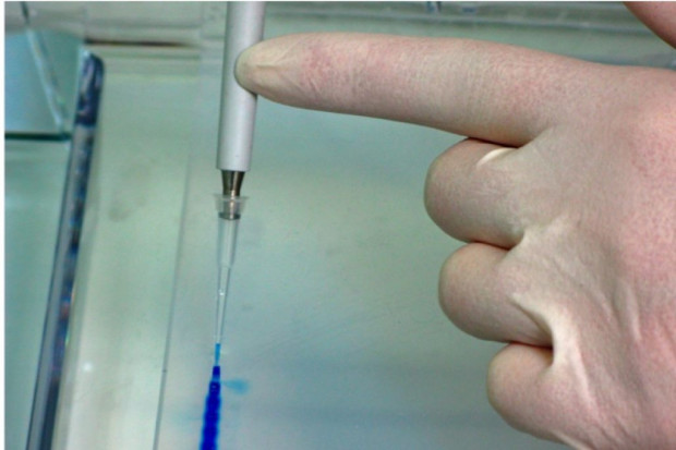 Biotechnologia: polsko-belgijska umowa o współpracy technoparków
