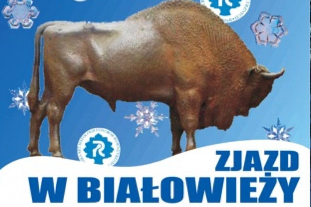 Zjazd w Białowieży. "Reumatologia w codziennej praktyce lekarza specjalisty"