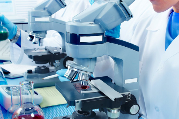 Diagnostyka laboratoryjna: sieci rosną w siłę, ale mniejsi gracze nie odpuszczają