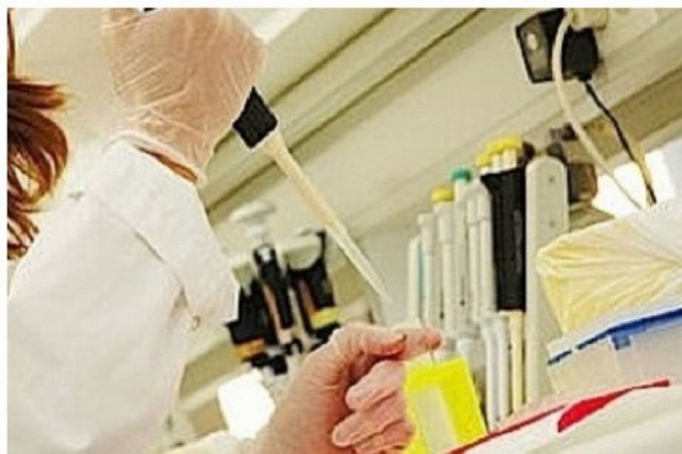 Koszalin: według ankiety SLD mieszkańcy chcą dofinansowania in vitro