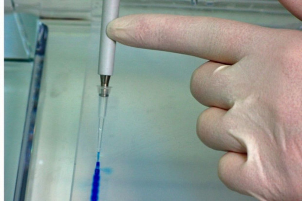 Poznań: pacjenci poradni diabetologicznej zostaną bez opieki?