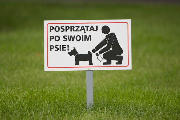 Jasiu, umyj ręce! Sprawdziliśmy, co GIS znalazł w piaskownicach