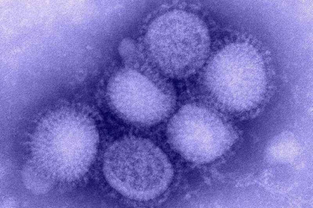 WHO: do wiosny na świecie zmarło ponad 10 tysięcy chorych na A/H1N1