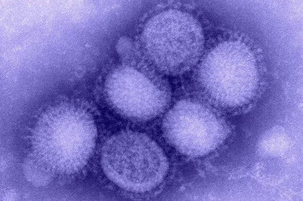 Odkryto tajemnicę wirusa A/H1N1?