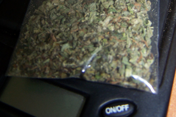 Marihuana ziołem leczniczym w chorobach jelit?