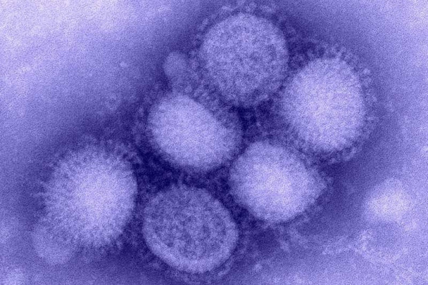 W sprawie ogłoszenia pandemii A/H1N1 WHO skontroluje się sama...