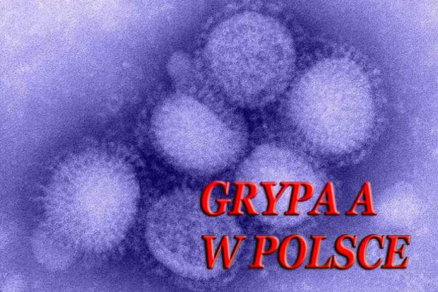 I wirusolodzy mają swoje Towarzystwo