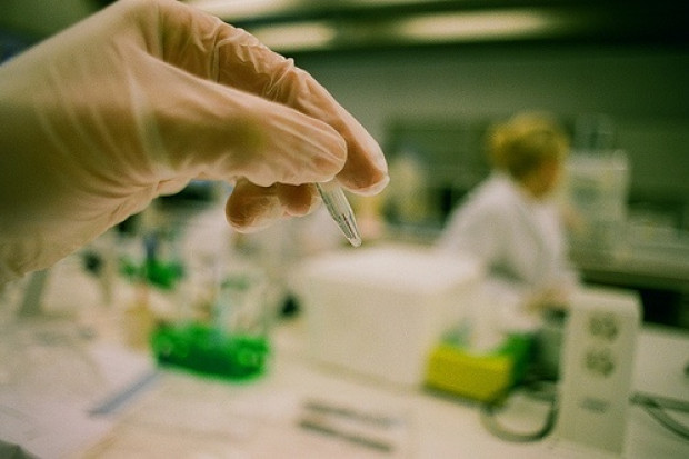 Polscy naukowcy zbadali DNA sprzed 4 tys. lat