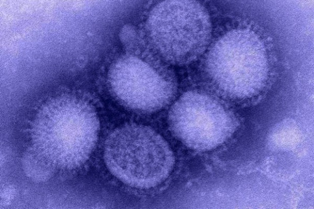 W Polsce powstaje bioczujnik wirusa grypy