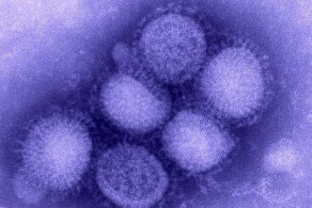 Samorząd lekarski chce szczepień przeciwko AH1N1 dla personelu medycznego