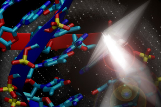 Zobaczyli receptor dzięki krystalografii rentgenowskiej