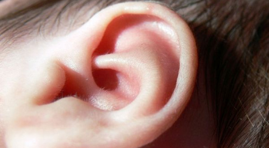Program wczesnej interwencji u dzieci z wadą słuchu