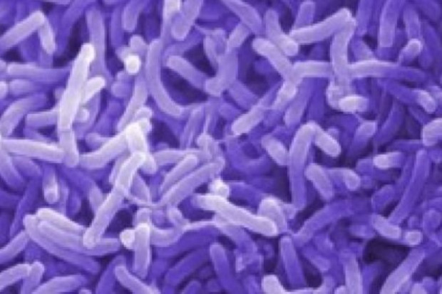 Na Haiti cholera wciąż groźna
