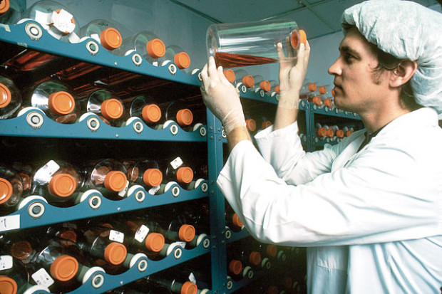 Leczenie łuszczycy: nadchodzą terapie biologiczne