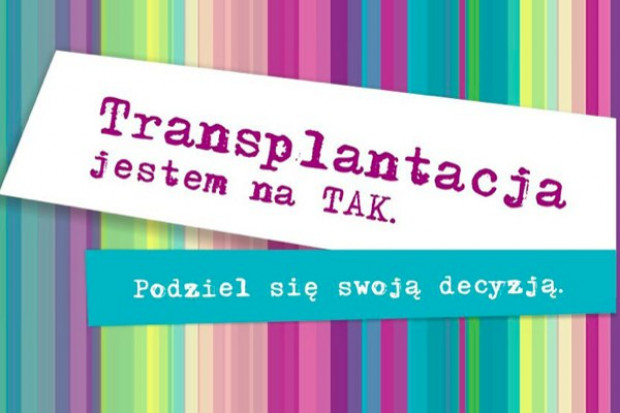 Tak się buduje przyszłość transplantologii