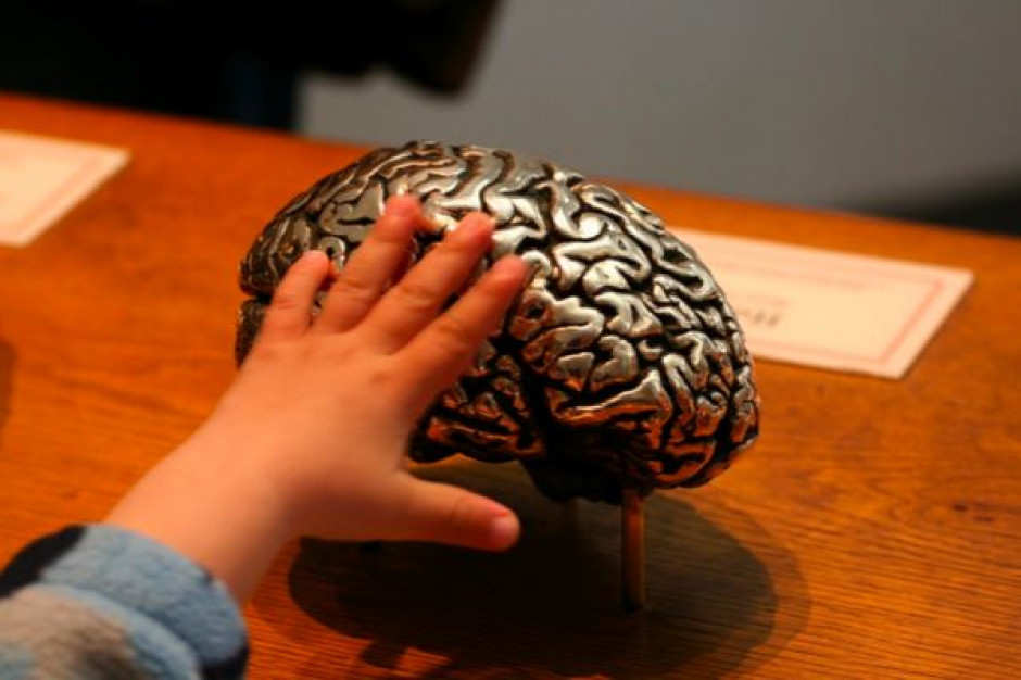 Te same geny odpowiedzialne za zawał i alzheimera