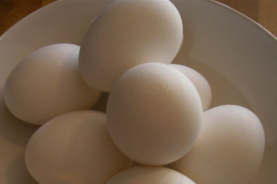 Pekin zawiesił import niemieckiej wieprzowiny i jaj
