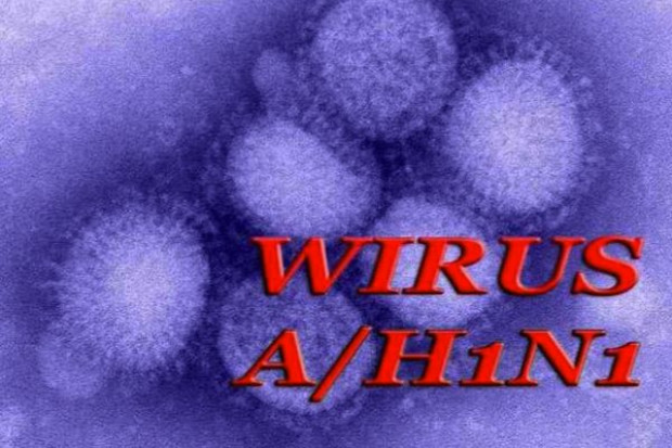 MZ: wytyczne ws. grypy A/H1N1