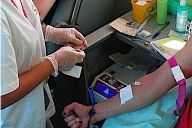 Lubuskie: będą promować krwiodawstwo i transplantologię