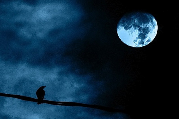 Kujawsko-Pomorskie: jak nocą trafić do lekarza?