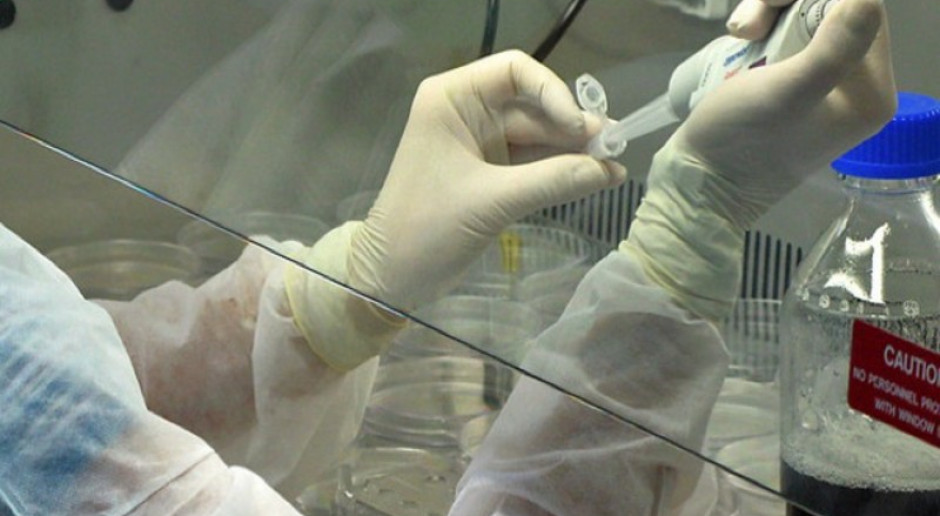 USA: państwo może finansować badania nad komórkami z embrionów