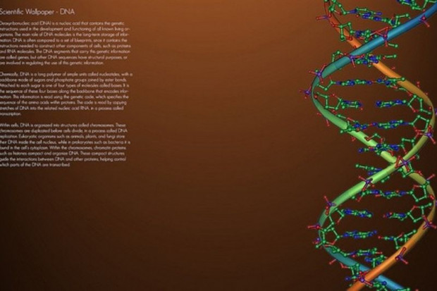 Wlk. Brytania: w sprzedaży test DNA ustalający wiek biologiczny. Wykorzystają go ubezpieczyciele?