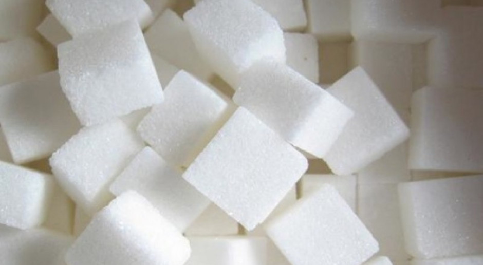 Cukier wspomaga działanie antybiotyków