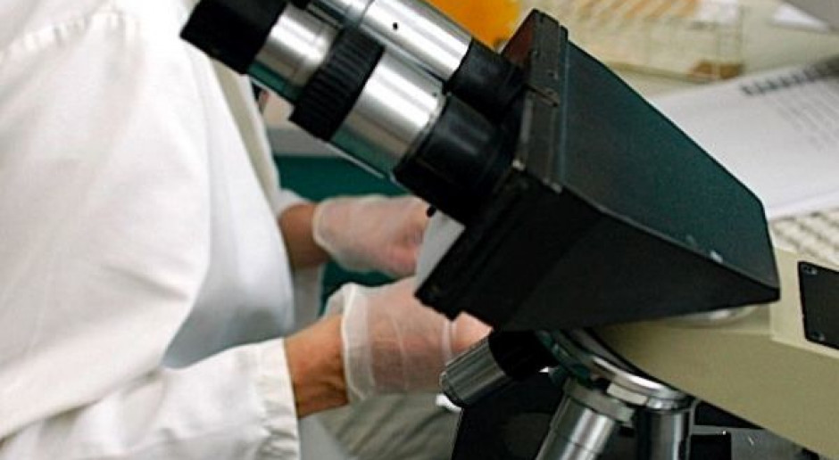 GUMed: w poszukiwaniu naturalnej immunosupresji