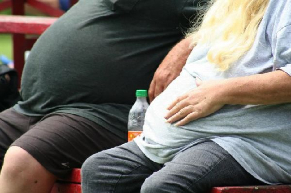 USA: otyłość przynosi gospodarcze straty?