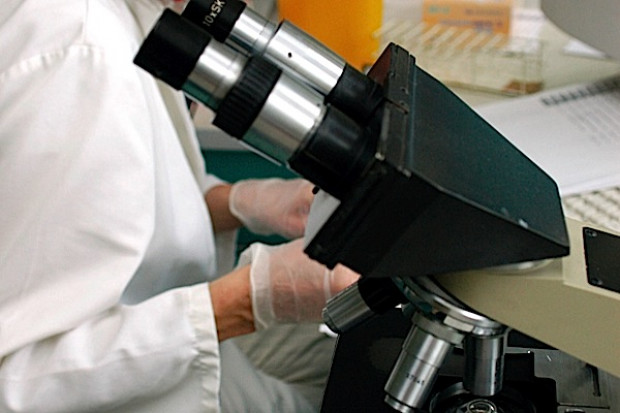 Częstochowa: in vitro uzyska wsparcie samorządu?
