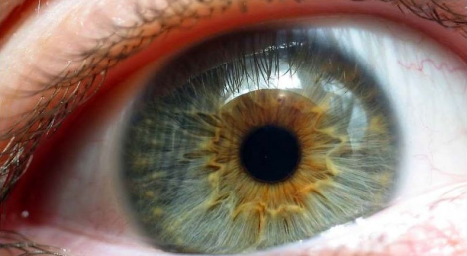 Wielkopolskie: okulista wróci do ośrodka dla niewidomych