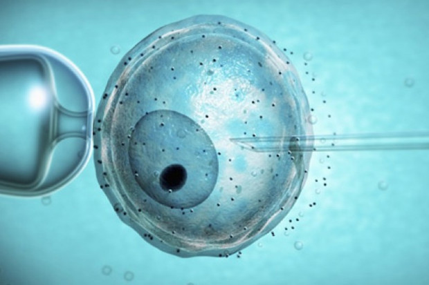 Częstochowa: chcą poprawek w ustawie, żeby refundować in vitro