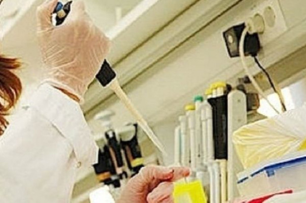 Adamed pracuje nad celowaną terapią przeciwnowotworową