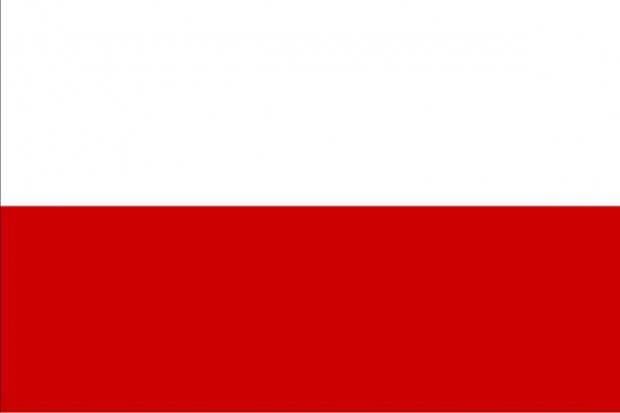 Dlaczego Polska znalazła się na Priority Watch List