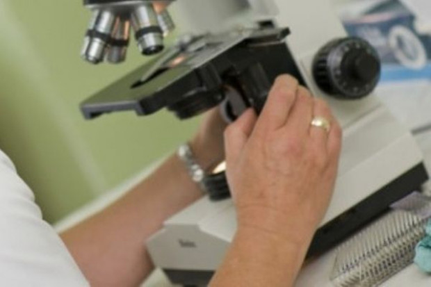 Senyszyn: niepłodność jest chorobą; in vitro trzeba finansować z budżetu