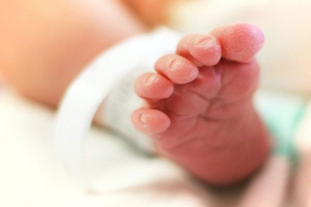 Urodziło się już 5 mln dzieci z probówki