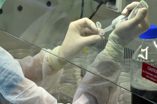 PO: powołaliśmy zespół do opracowania jednego projektu ws. in vitro