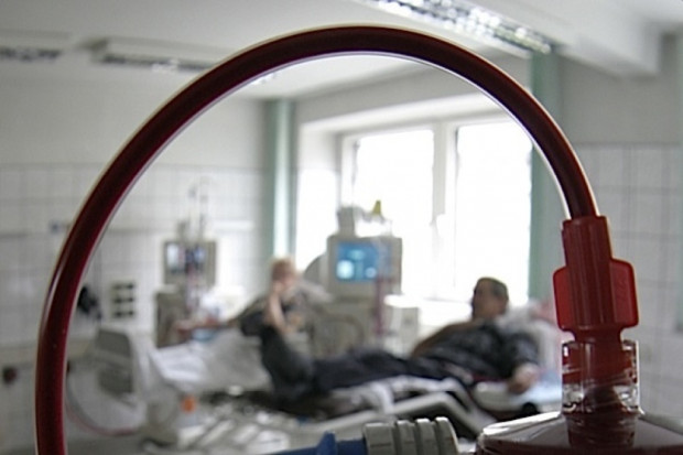 W Polsce jest ponad 13 razy mniej dawców szpiku niż w Niemczech