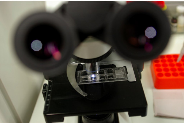 Biochemik: odkrycie noblistów ważne dla medycyny rekonstrukcyjnej