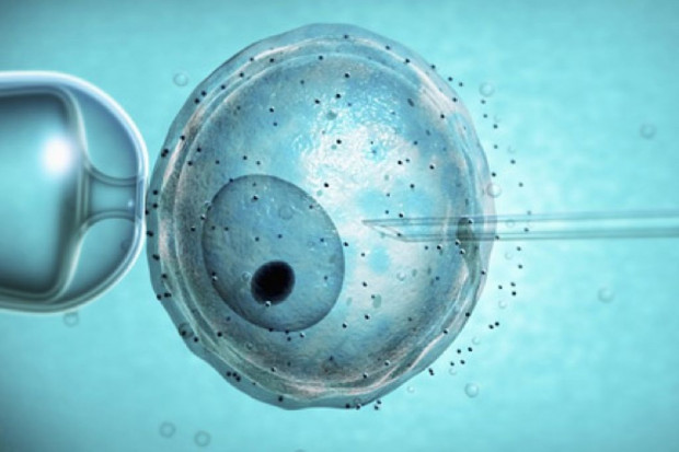 Gowin: propozycja rządu ws. in vitro to krok w dobrą stronę
