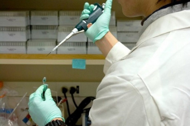 TSH może podnosić poziom cholesterolu niezależnie od hormonów tarczycy