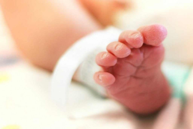 Łódź: czworaczki w szpitalu Matki Polki