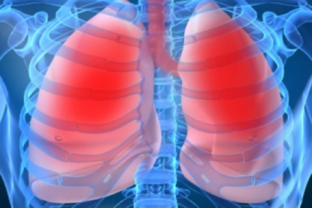 Poznań: dwa ośrodki zabiegają o akredytację w zakresie transplantacji płuca