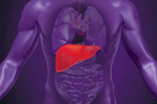 Szczecin: kolejna udana transplantacja wątroby
