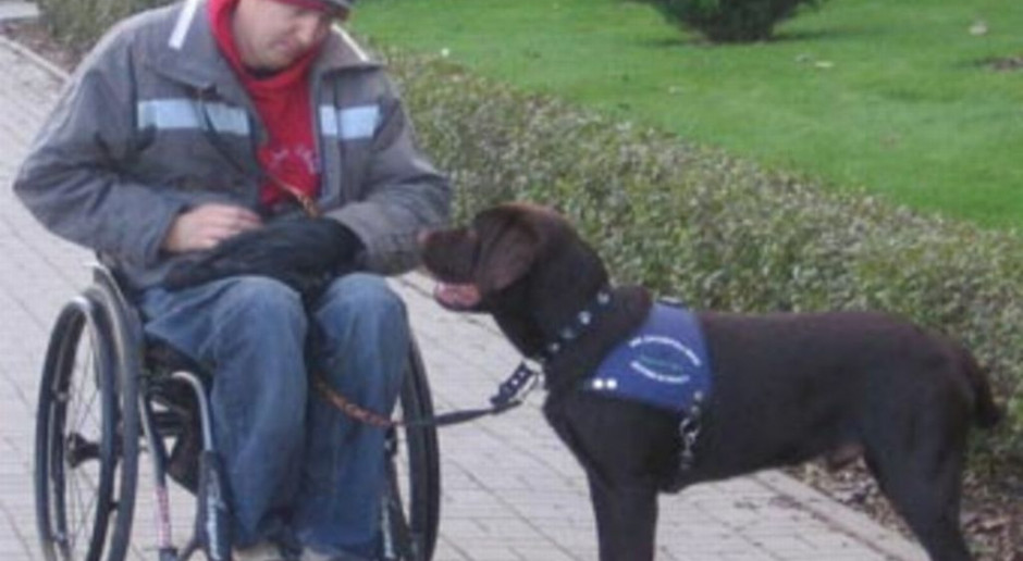 Senat ws. noweli ustawy dot. psów asystujących niepełnosprawnym